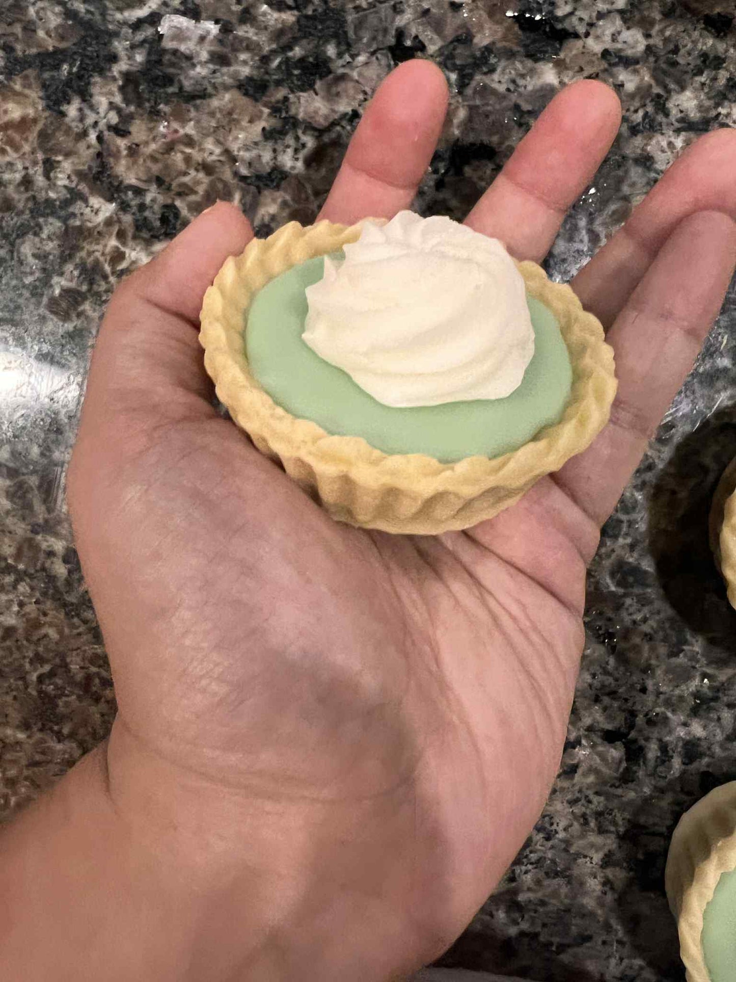 READY TO SHIP Soy Wax "Food" Bakery Box Melts