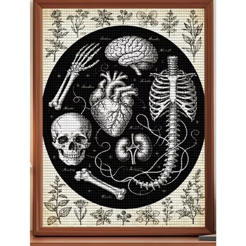 Preorder Anatomical Art Diamond Art Kit