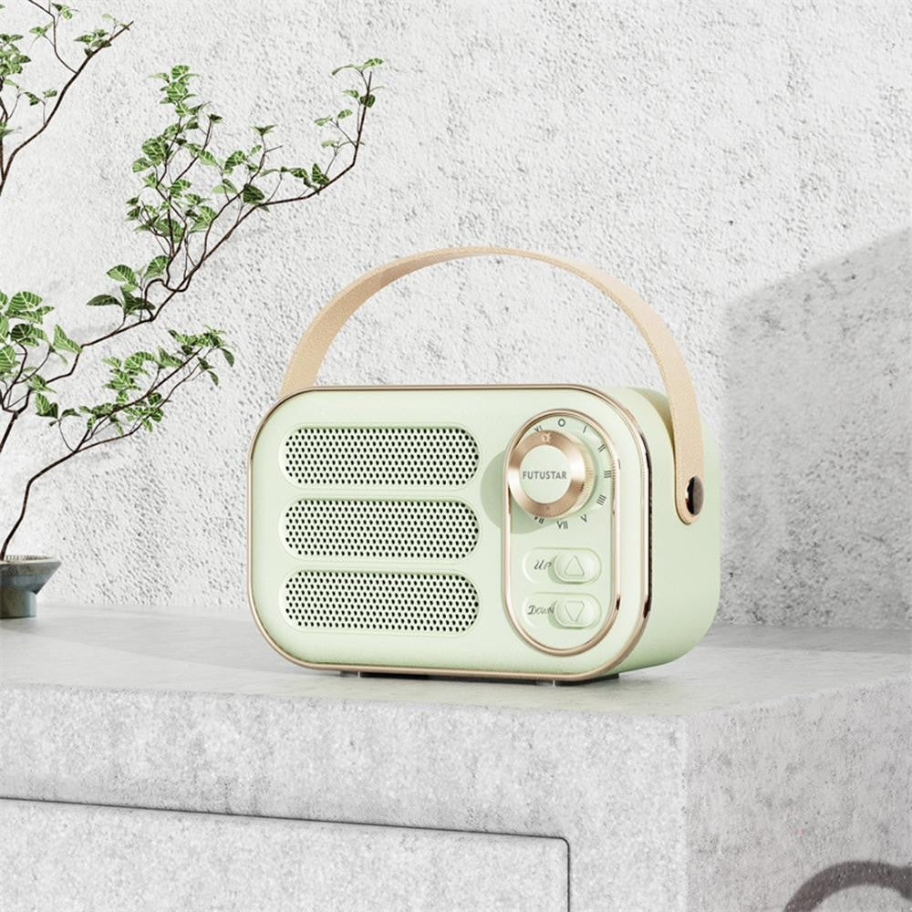 Portable Speaker With Carry Handle