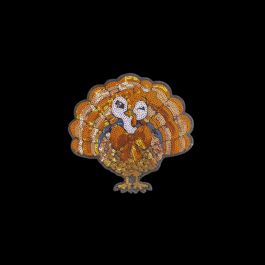 Sequin Turkey Long Sleeve Top