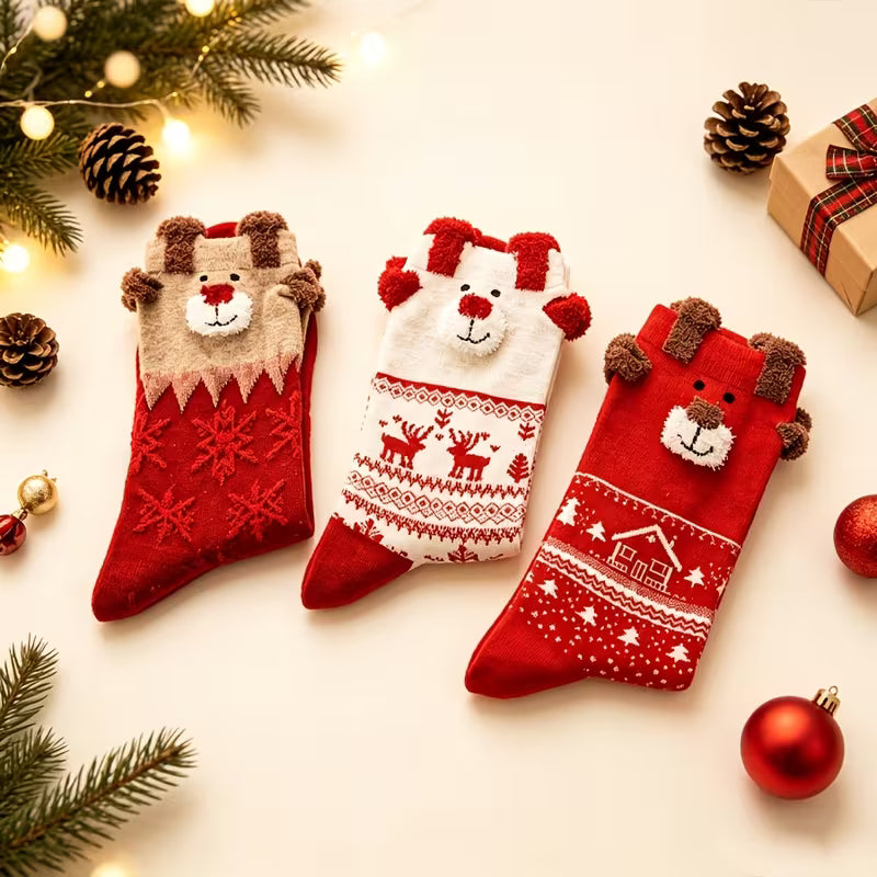 Mystery Pair of Cute Christmas Socks