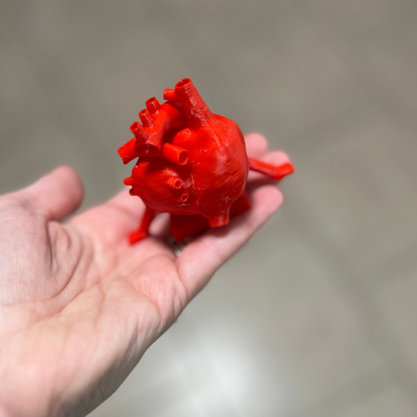 Made by Mike: Anatomically Correct Heart Buddy