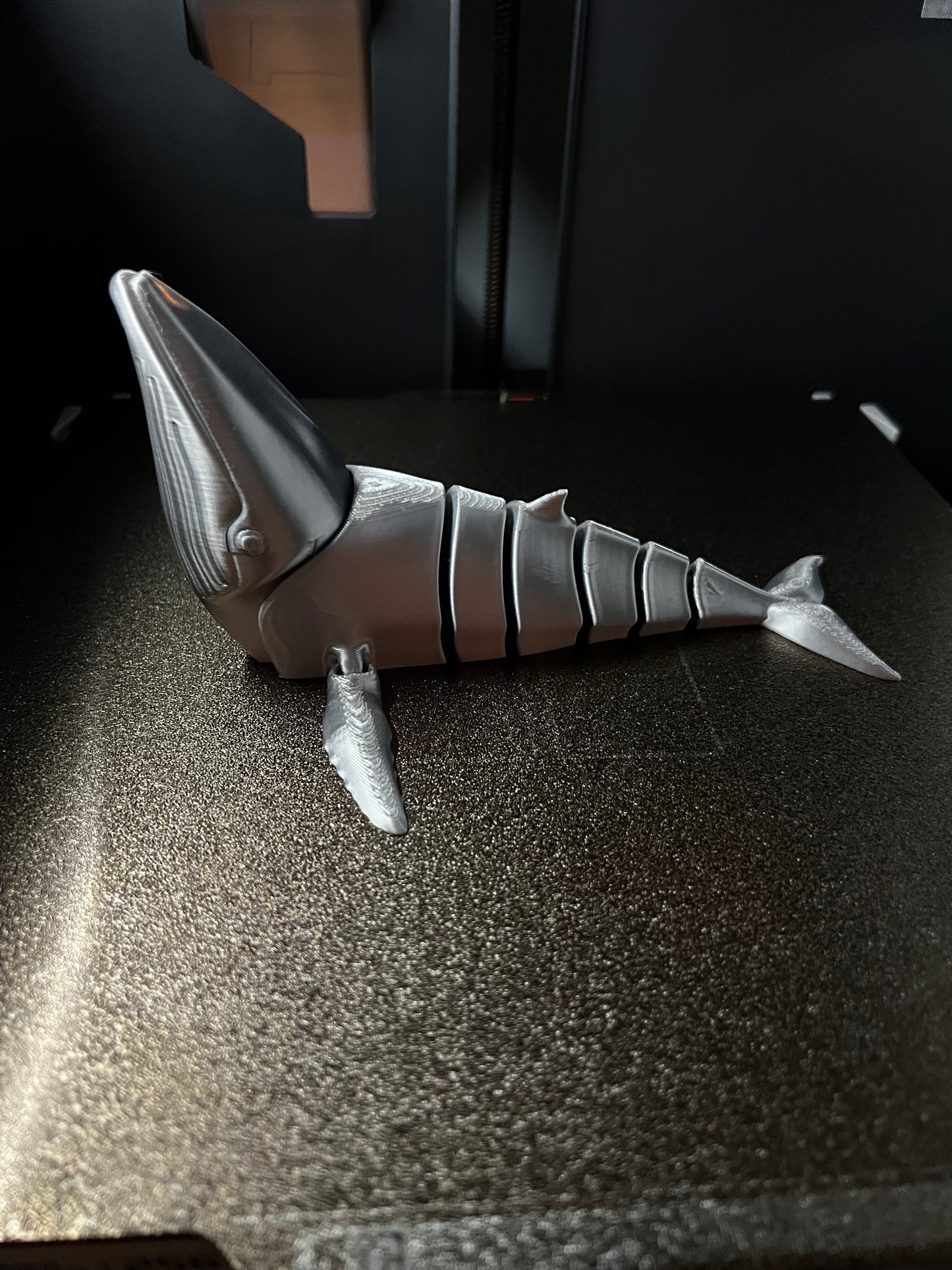 Made by Mike: Humpback Whale 3D Fidget