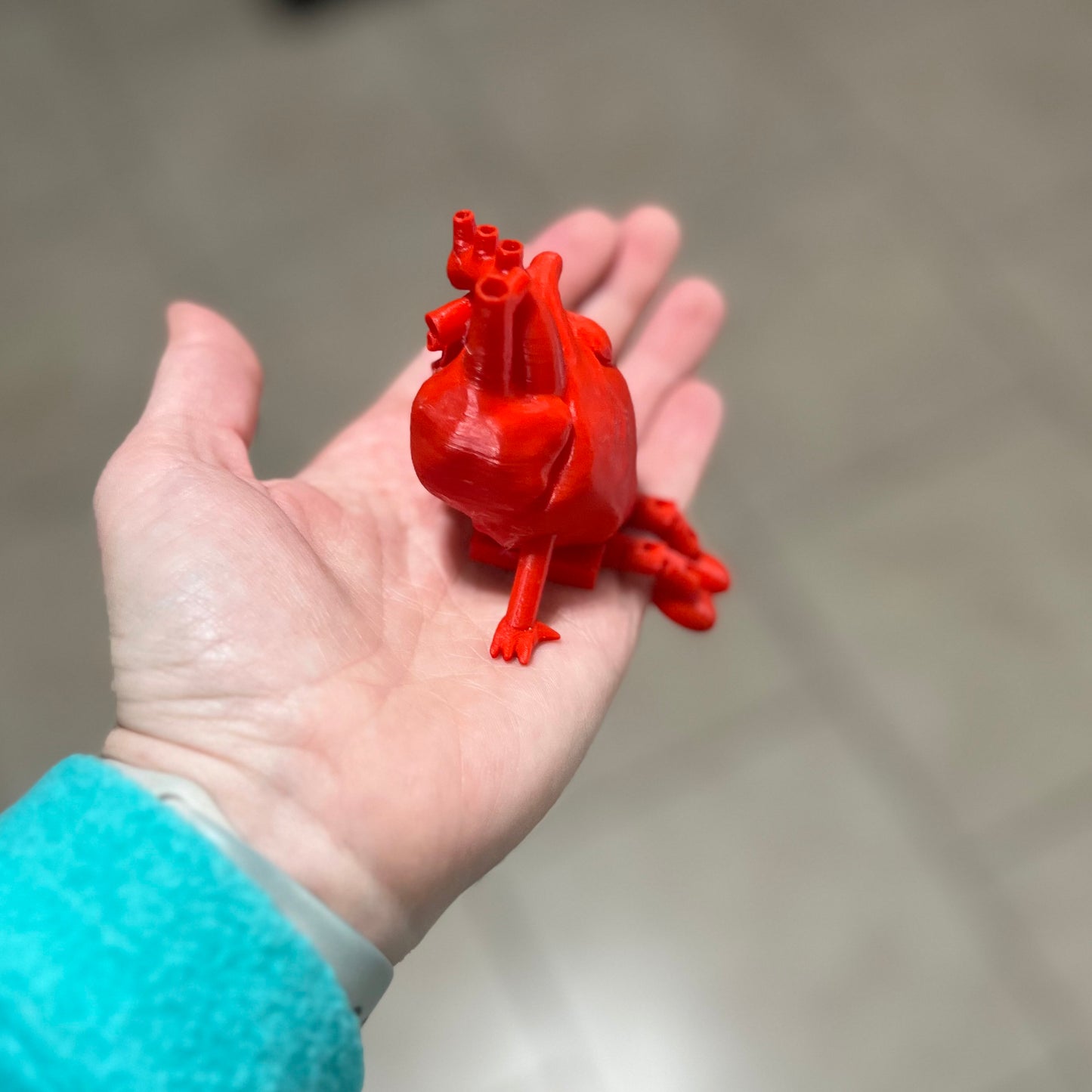 Made by Mike: Anatomically Correct Heart Buddy