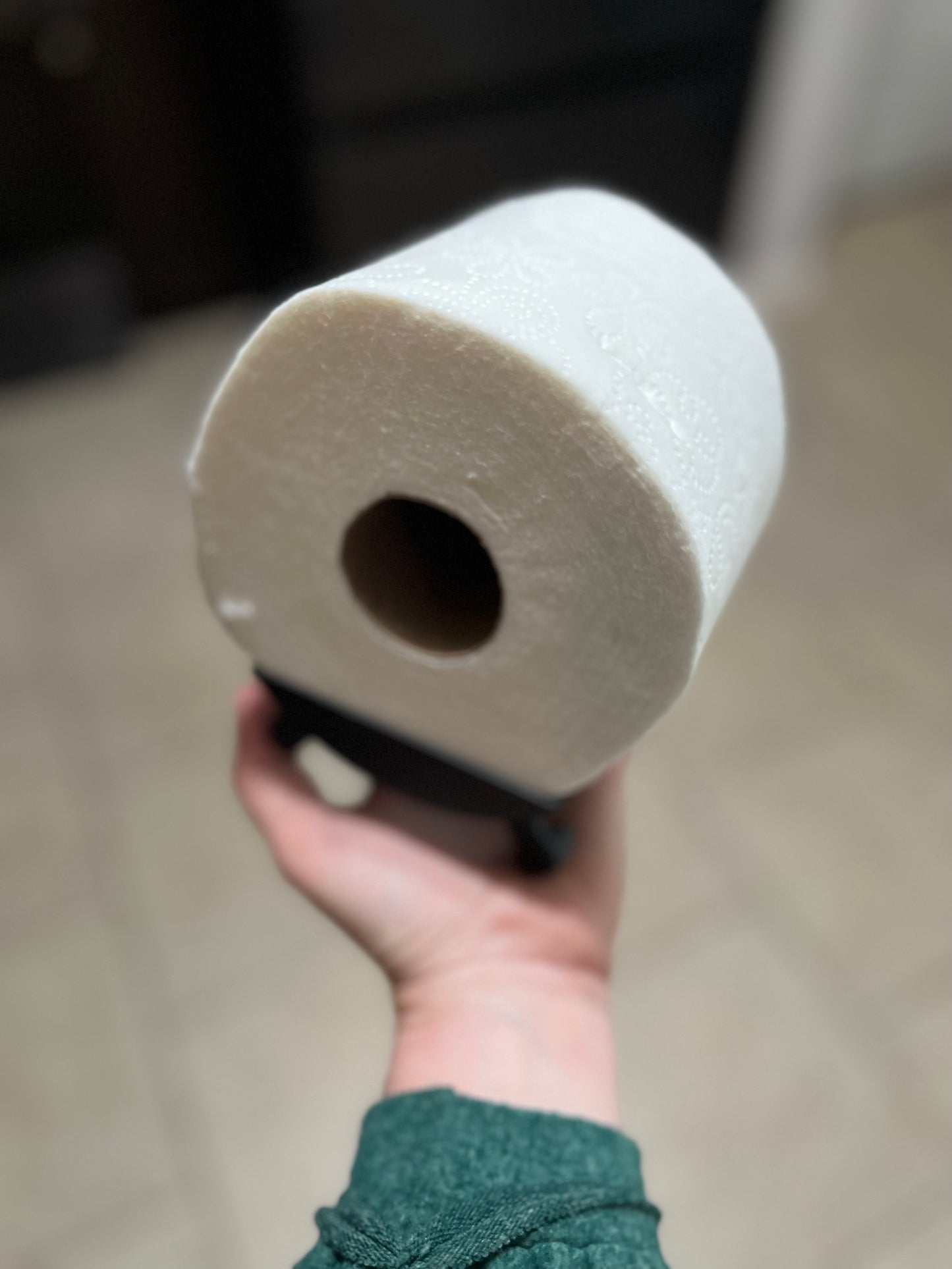 Made by Mike: Frenchie Toilet Paper Holder