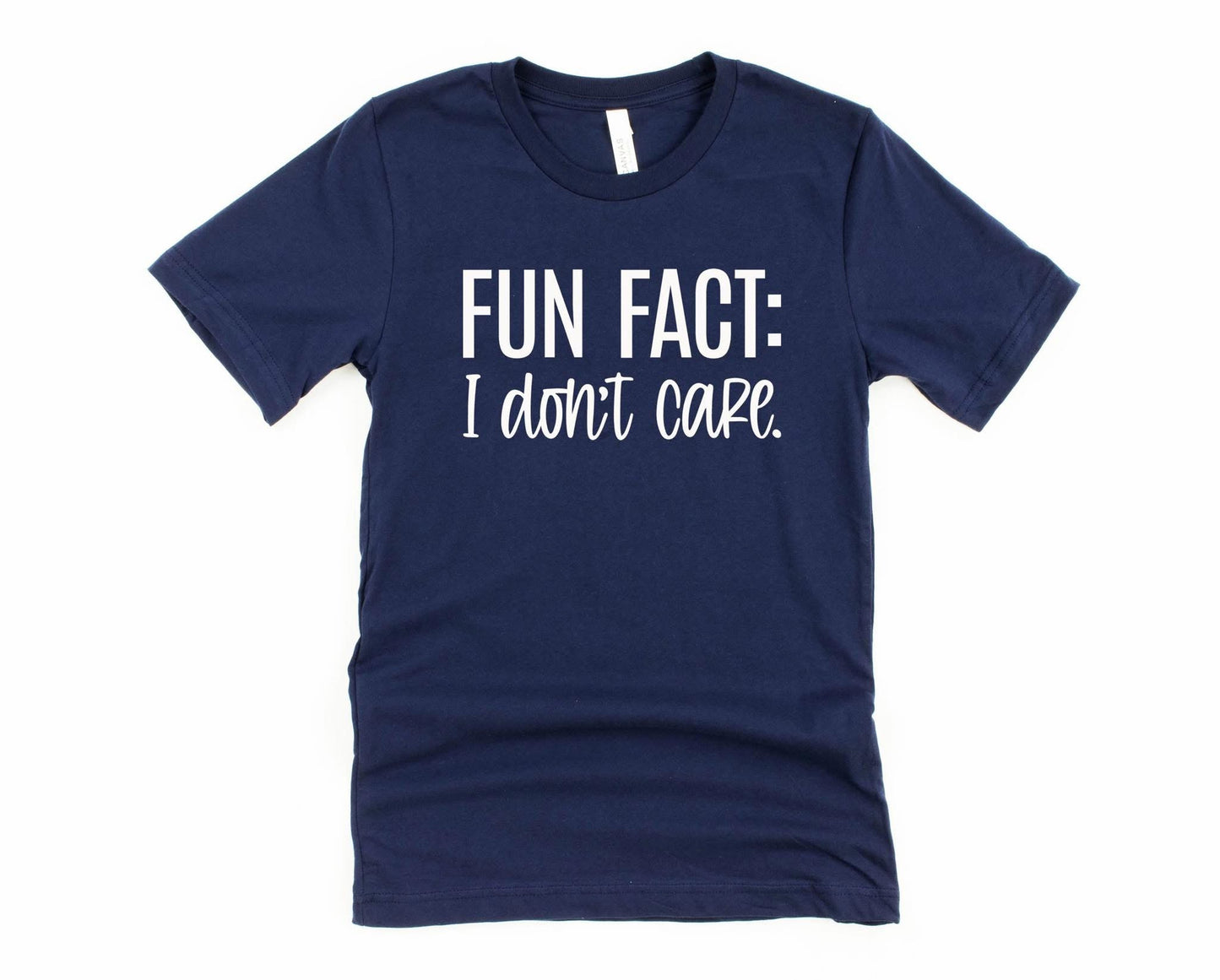 Fun Fact: I Don't Care CUSTOM Graphic
