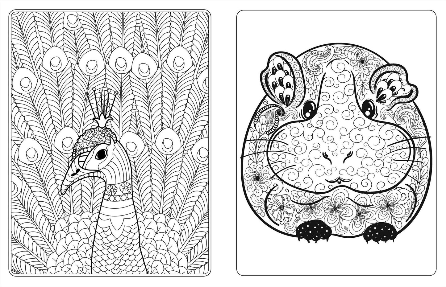 Animal Planet: Wild About Animals Coloring Book