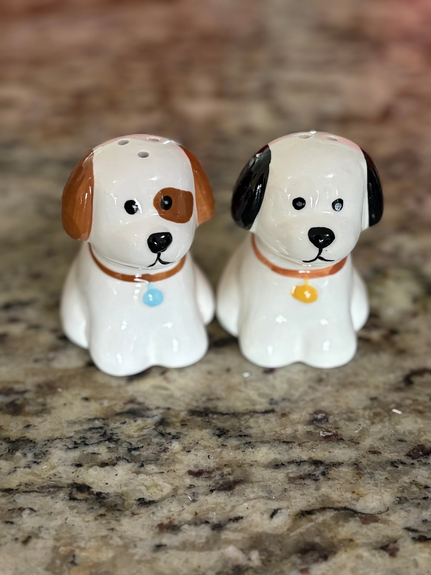 Ceramic Salt & Pepper Shakers