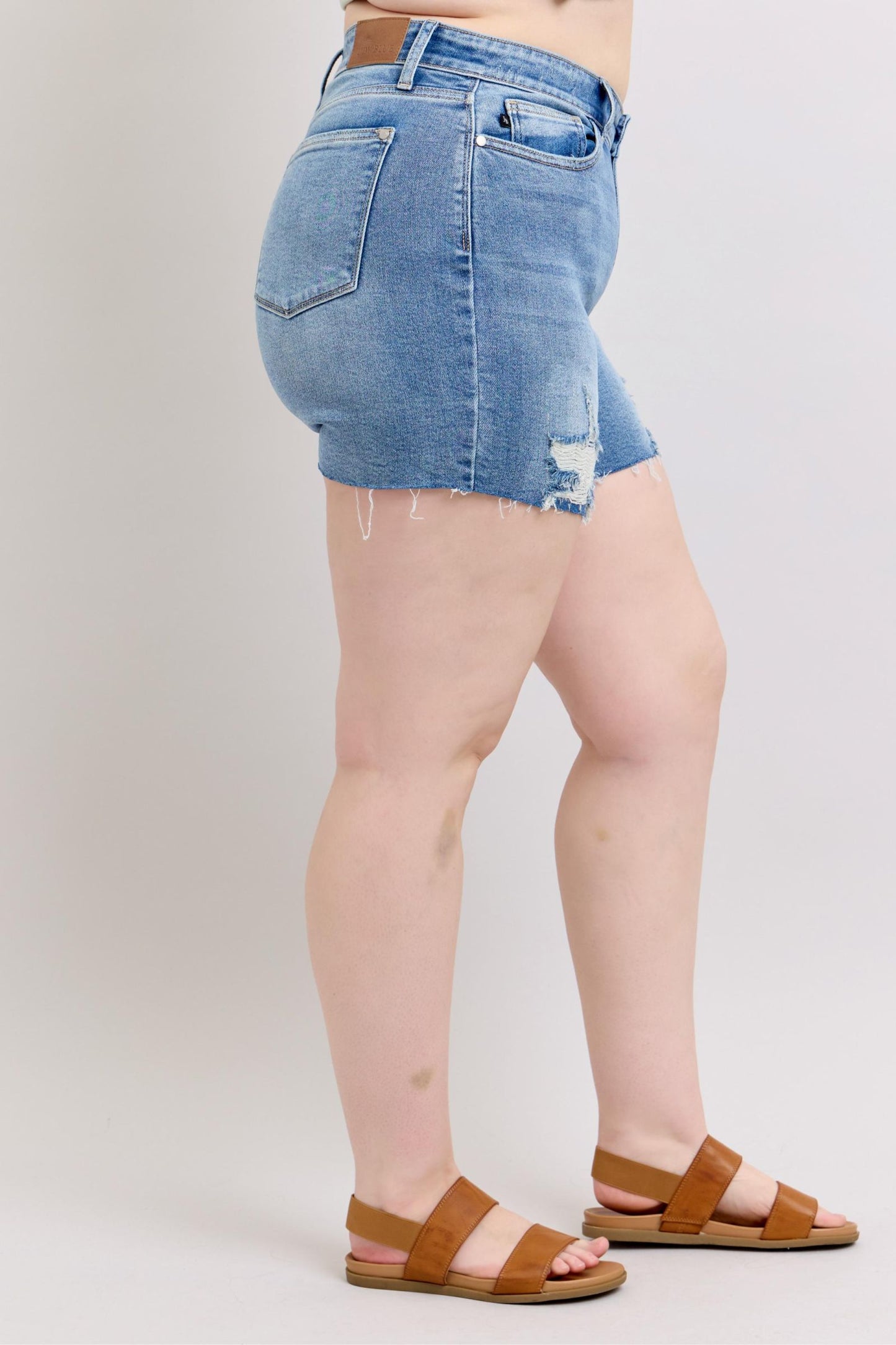 Charley High Rise Distressed Cutoff Shorts