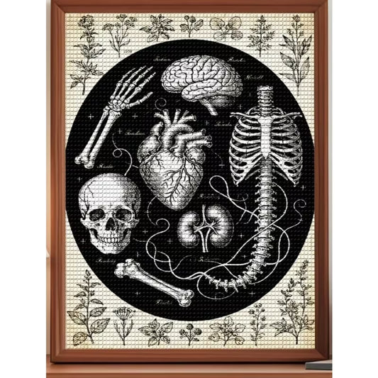 Preorder Anatomical Art Diamond Art Kit
