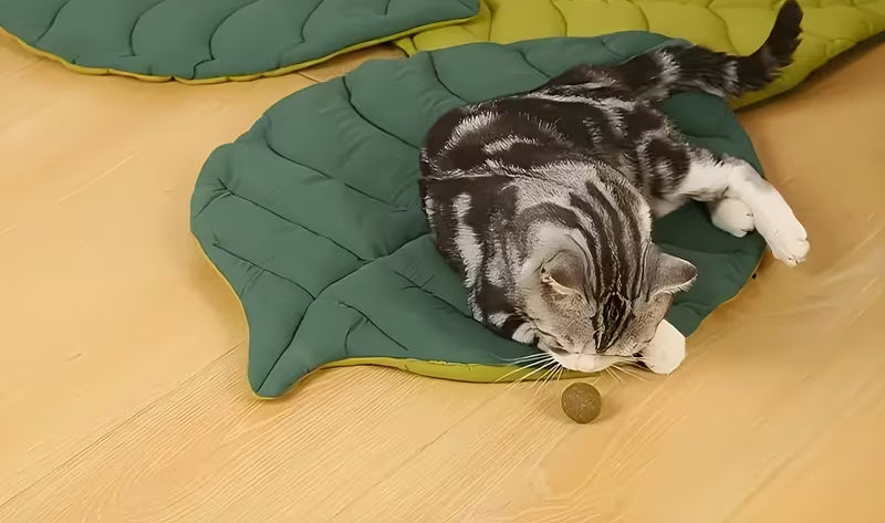 Washable Leaf Pet Bed/Mat
