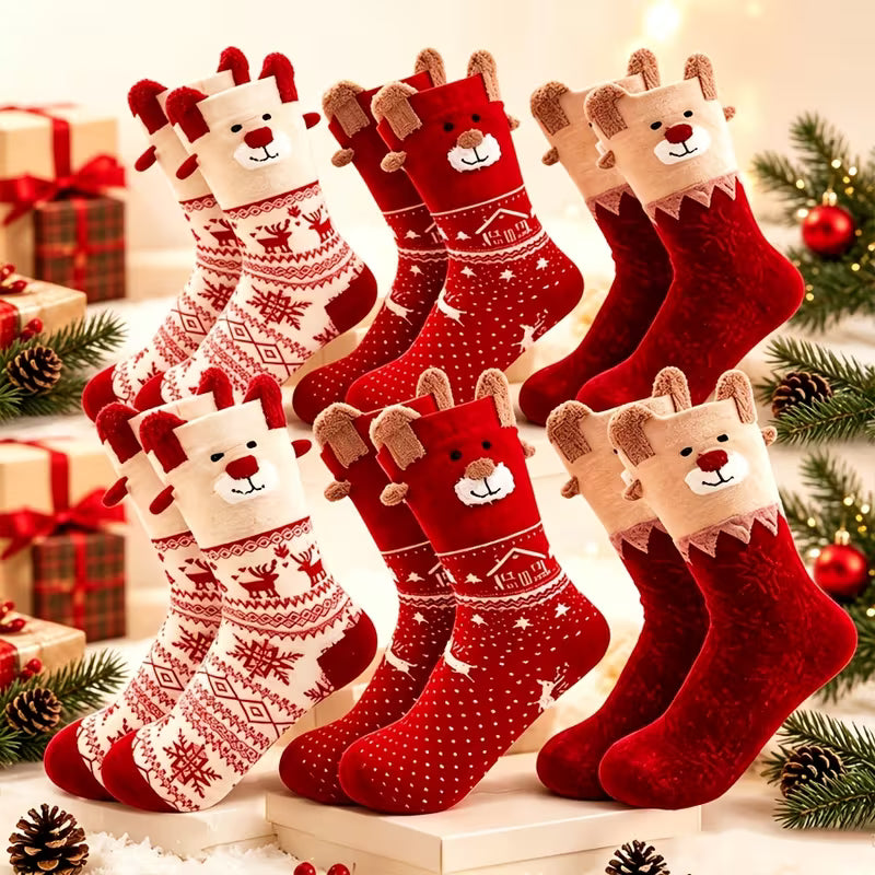 Mystery Pair of Cute Christmas Socks