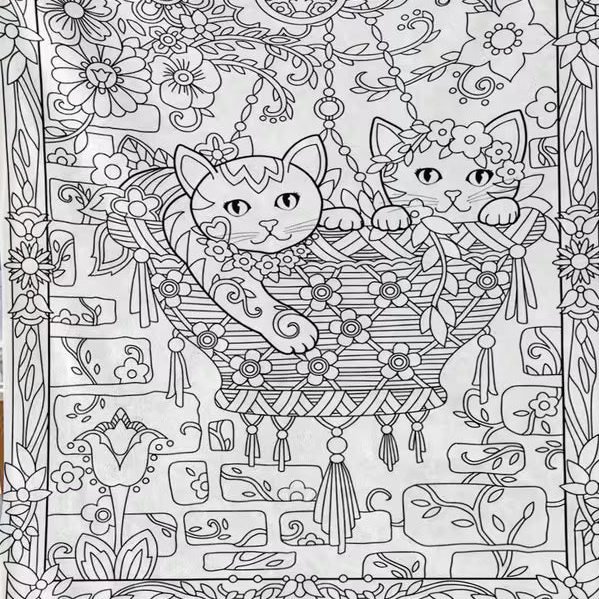 Preorder Kid's Coloring Blanket - 30 X 40 - Cats