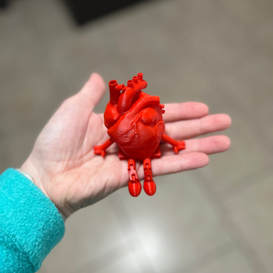 Made by Mike: Anatomically Correct Heart Buddy