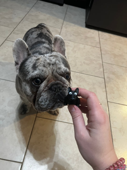 Made by Mike: Frenchie Fidget 3D Printed