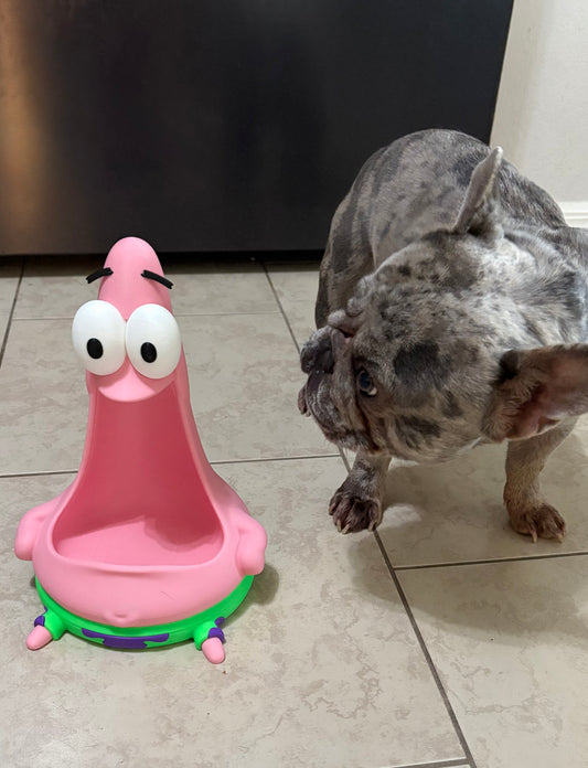 Made by Mike: Giant Starfish Bowl