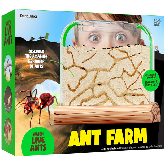 Ant Farm Sand Habitat