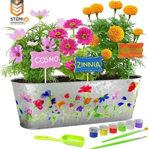 Paint and Plant Flower Growing Kit