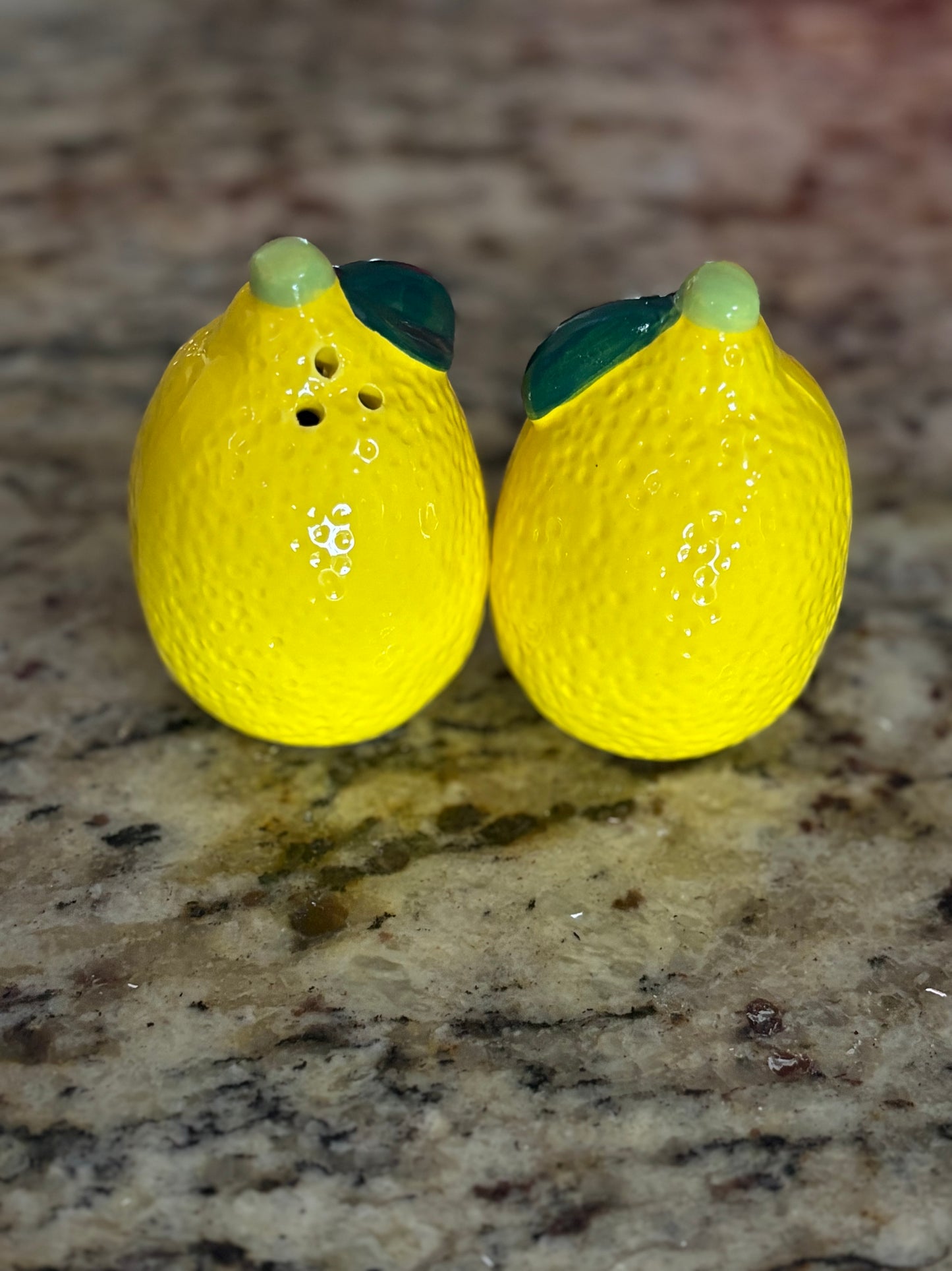 Ceramic Salt & Pepper Shakers