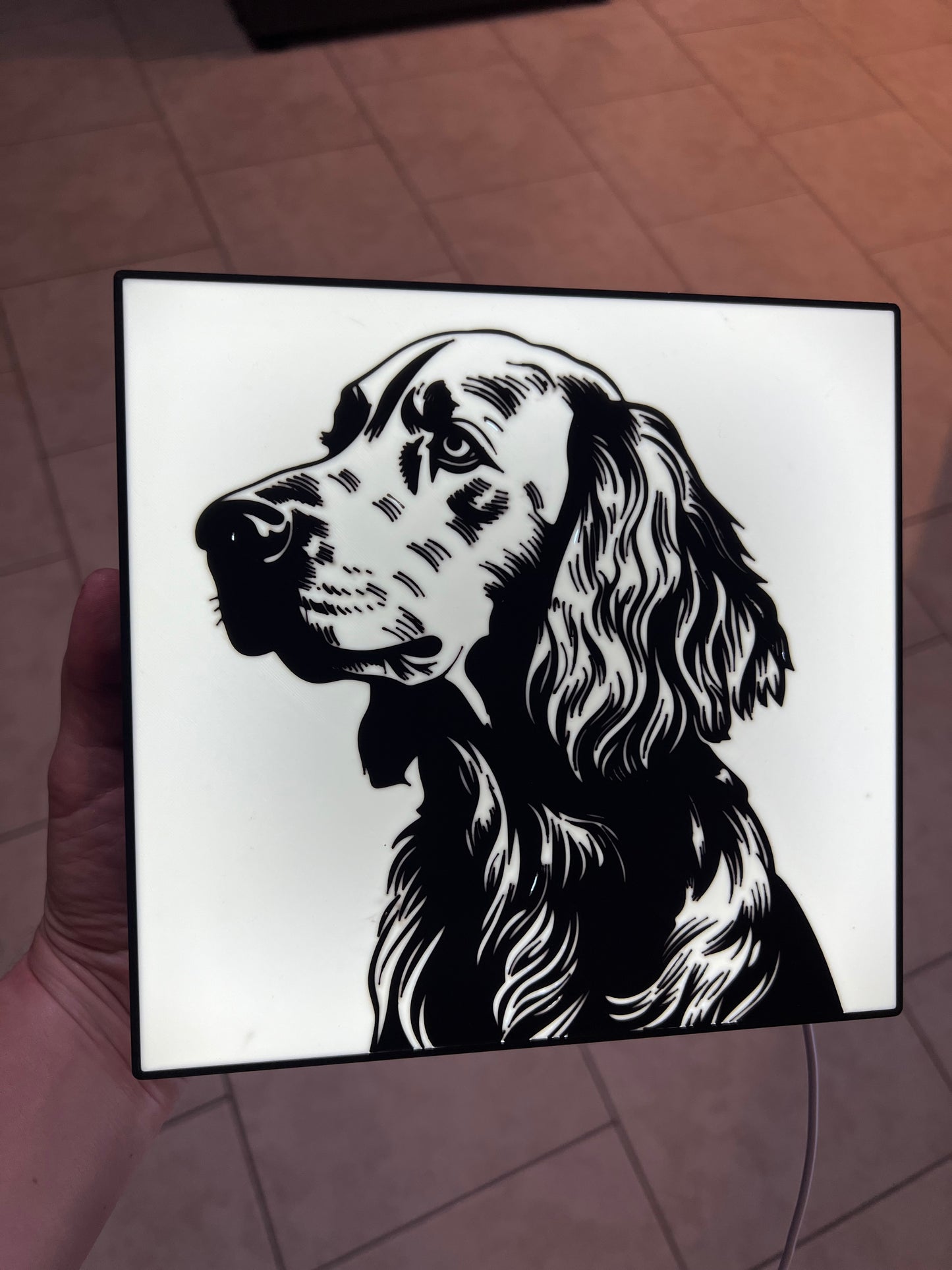 Made by Mike: CUSTOM Pet Light Box