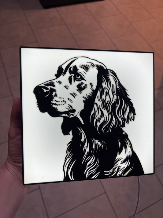 Made by Mike: CUSTOM Pet Light Box
