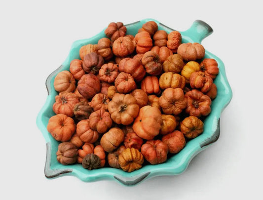Pumpkin Shaped Fall Scent Potpourri - 12 Scents!