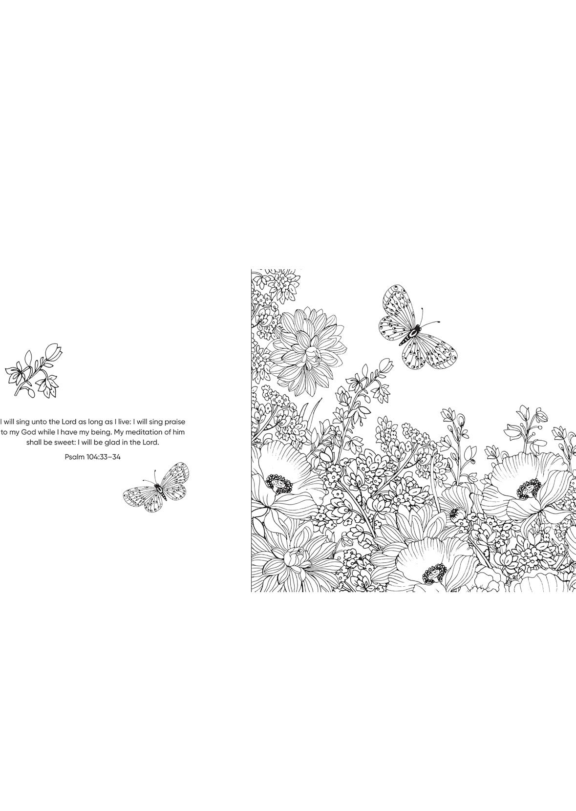 Color & Pray Devotional Coloring Book
