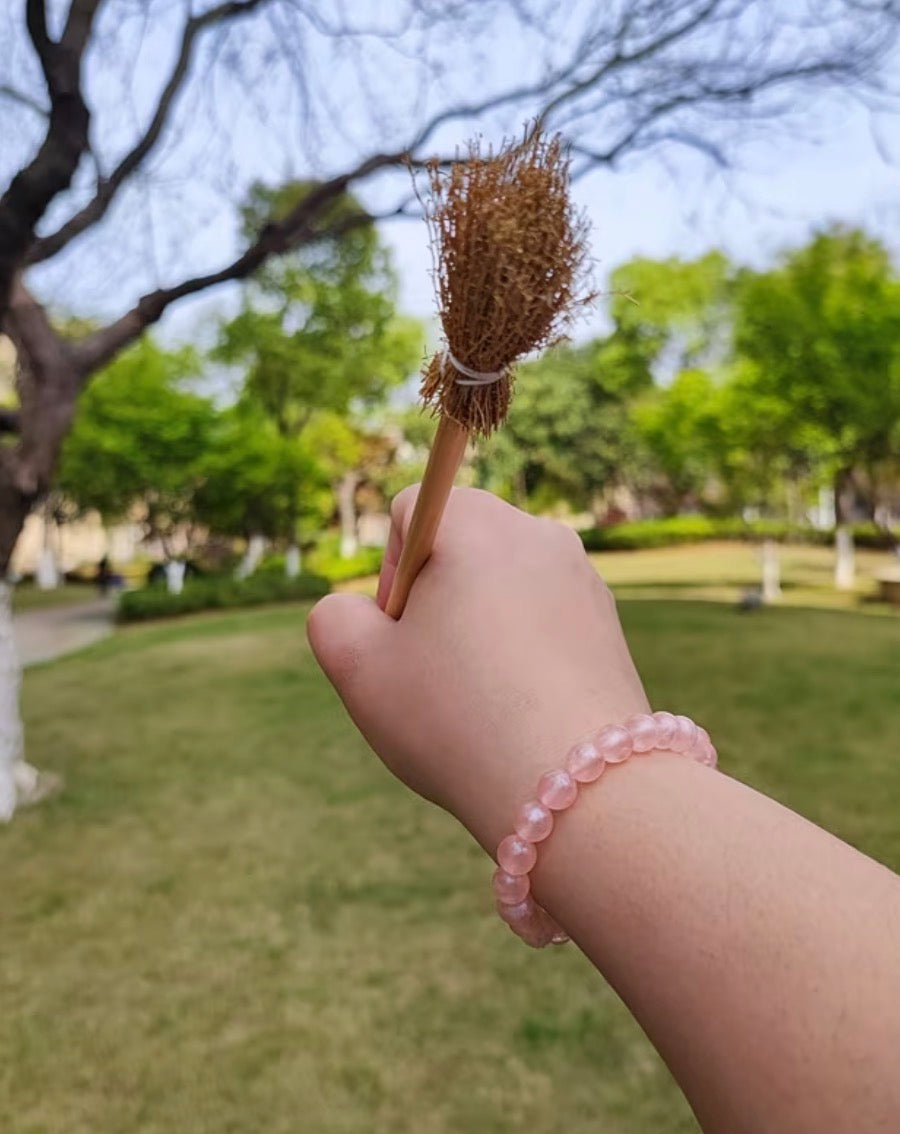 One Broom Pen