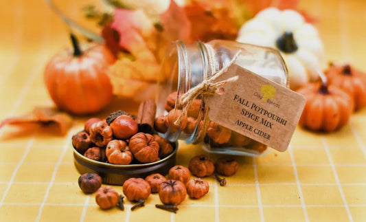 Fall Spiced Pumpkin Mix In Jars - 14 Scents!