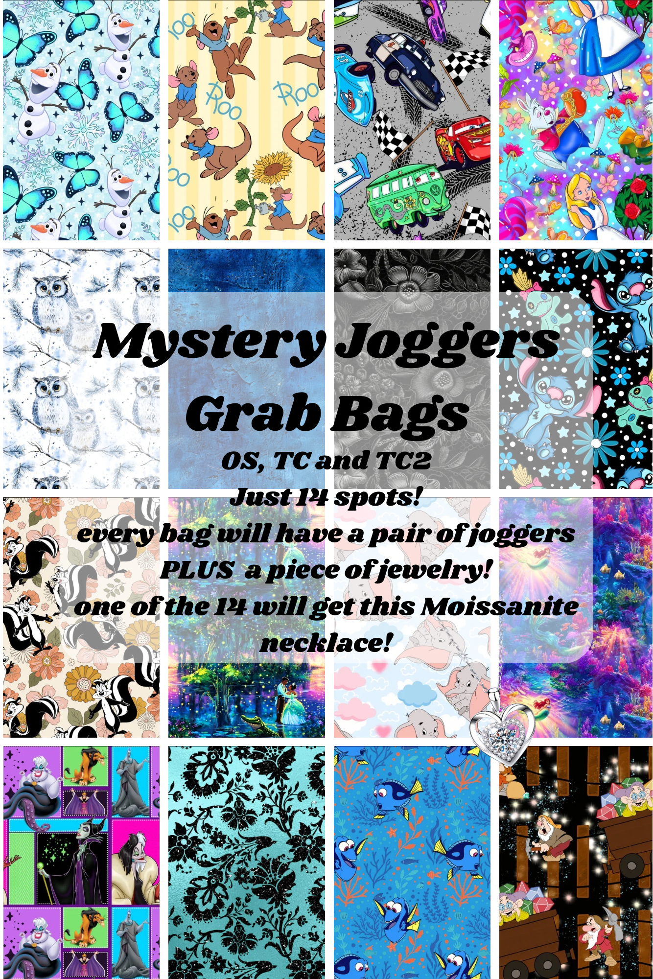 Mystery Jogger Bag
