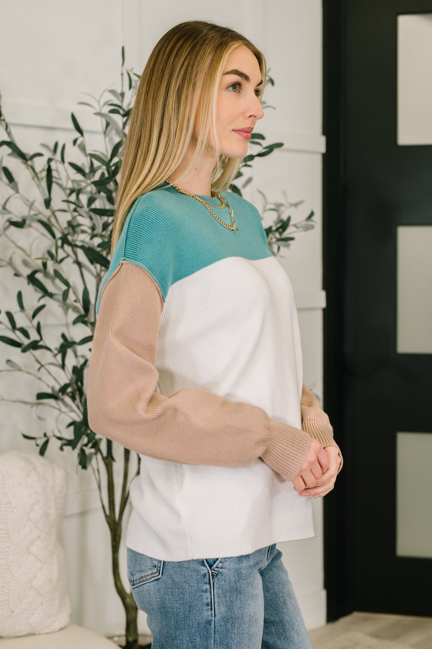 Walk in Central Park Ribbed Knit Color Block Pullover