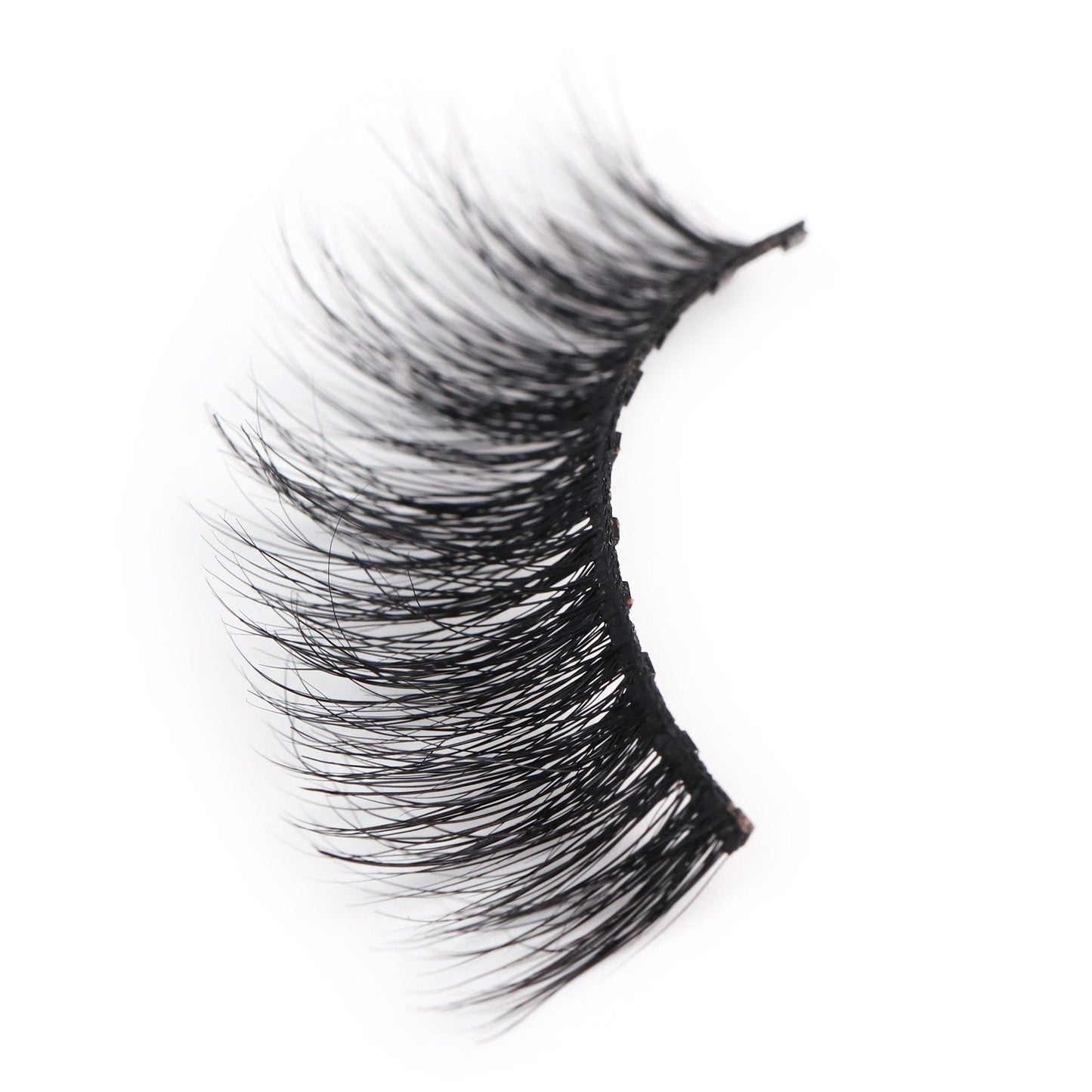 Date Lash EveryLash Magnetic Lashes